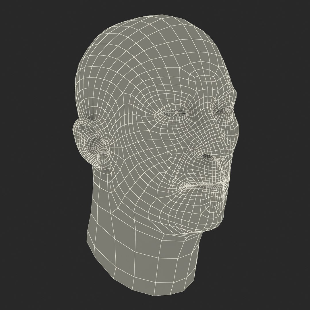 3d Model Male Head Hair 2