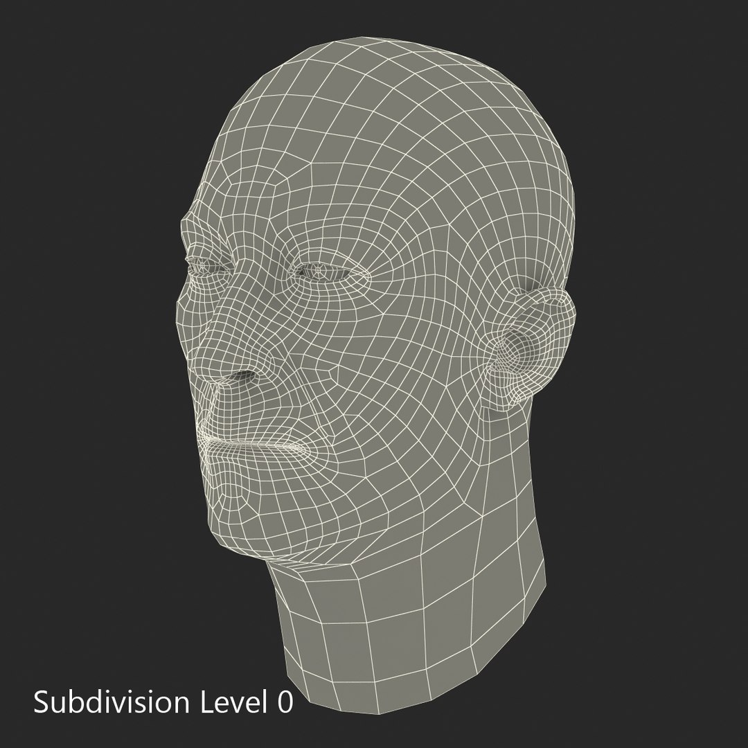 3d Model Male Head Hair 2