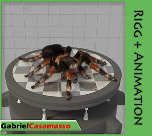 Tarantula