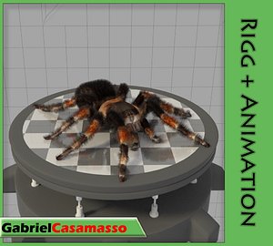 Tarantula