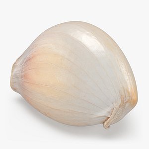 3D Garlic Clove 02 model