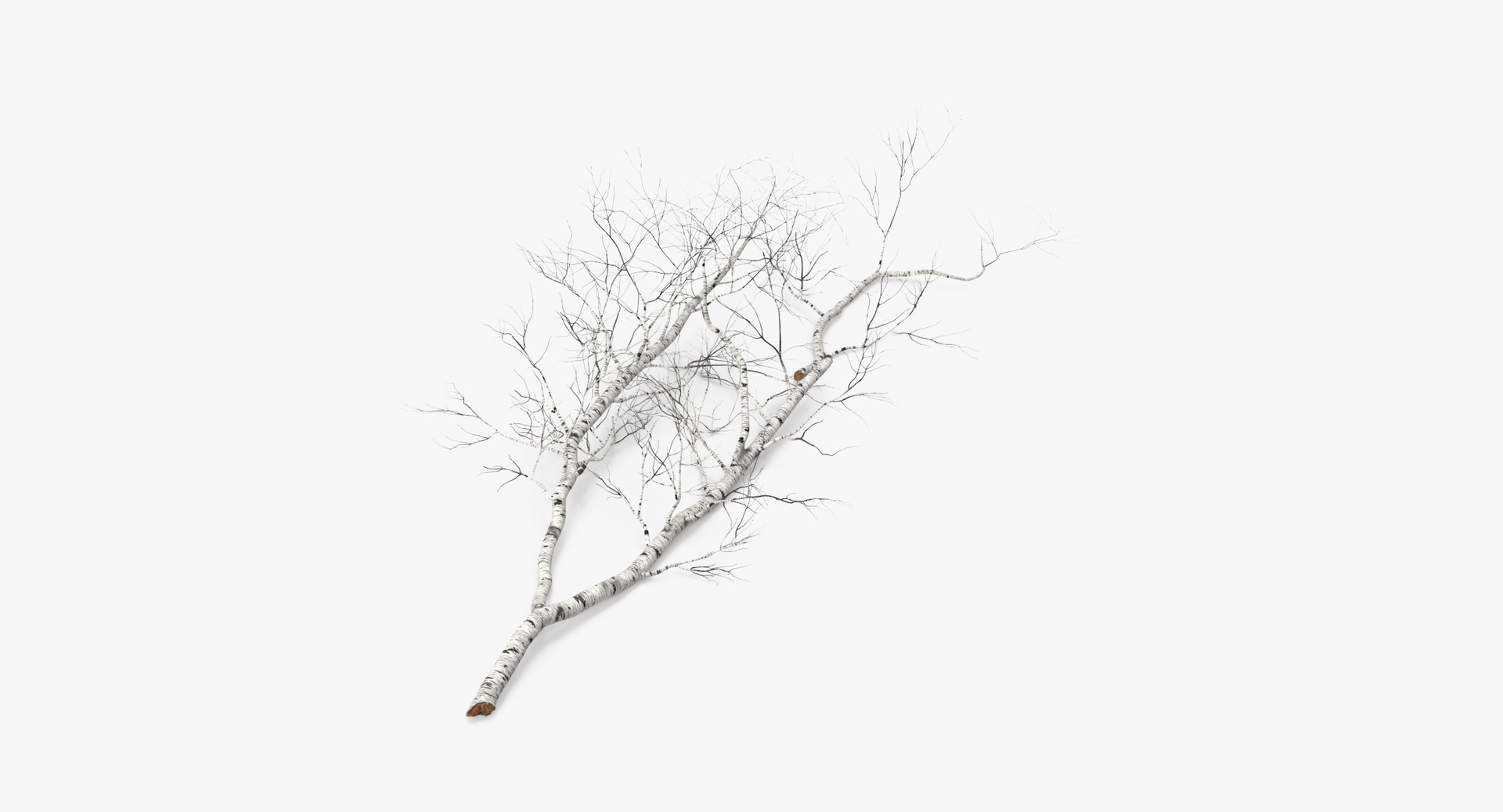 twigs sticks stumps log max https://p.turbosquid.com/ts-thumb/Mb/FjgC1G/GiZLGuVi/0000/jpg/1468326627/1920x1080/turn_fit_q99/f31184cea11fa99de0d6b12200cb36699085d7ac/0000-1.jpg