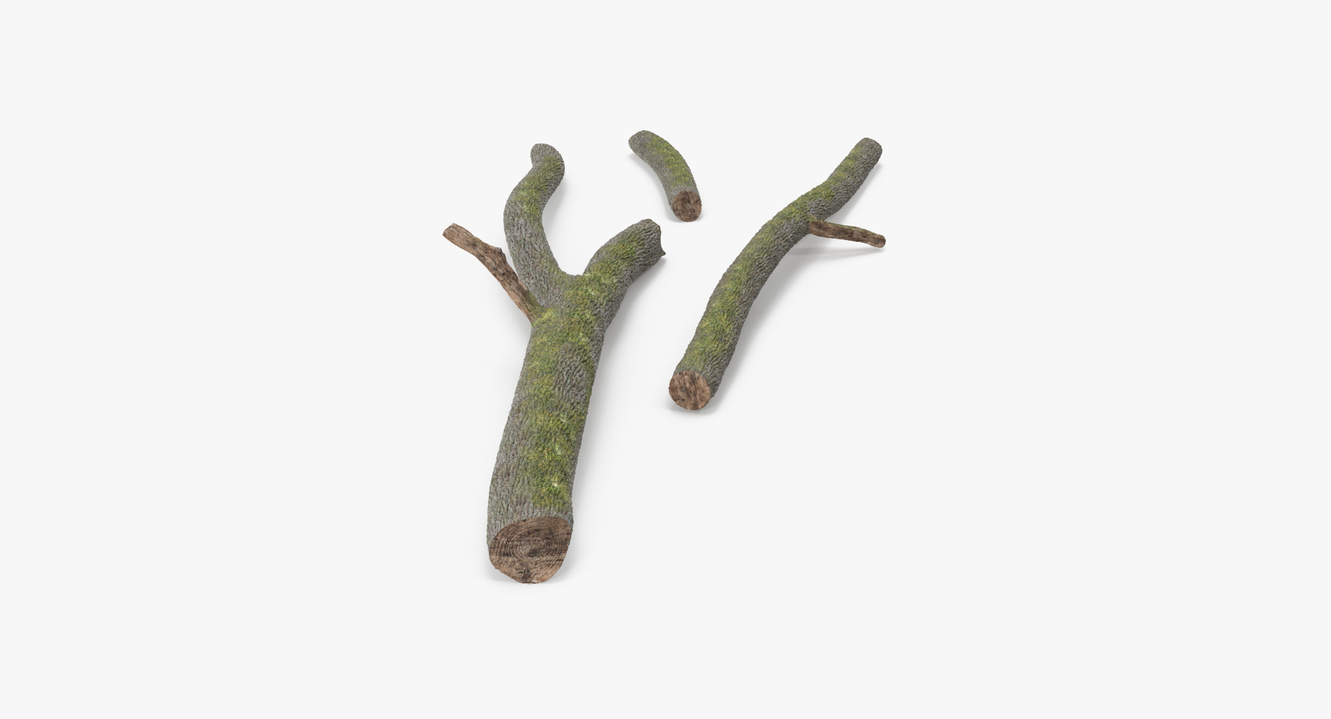 twigs sticks stumps log max https://p.turbosquid.com/ts-thumb/Mb/FjgC1G/INNUysKN/0000/jpg/1468330503/1920x1080/turn_fit_q99/3b8148432d0eadc683233230fbea46d448388411/0000-1.jpg