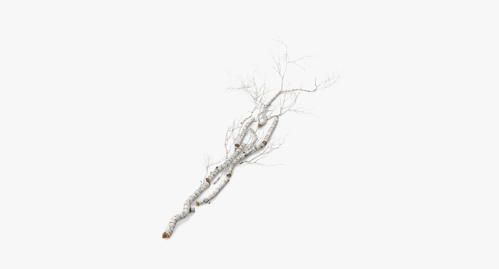 twigs sticks stumps log max https://p.turbosquid.com/ts-thumb/Mb/FjgC1G/eSD5gHdm/0000/jpg/1468327455/1920x1080/turn_fit_q99/0cf73d01228667563e8310107b22495f5015f113/0000-1.jpg