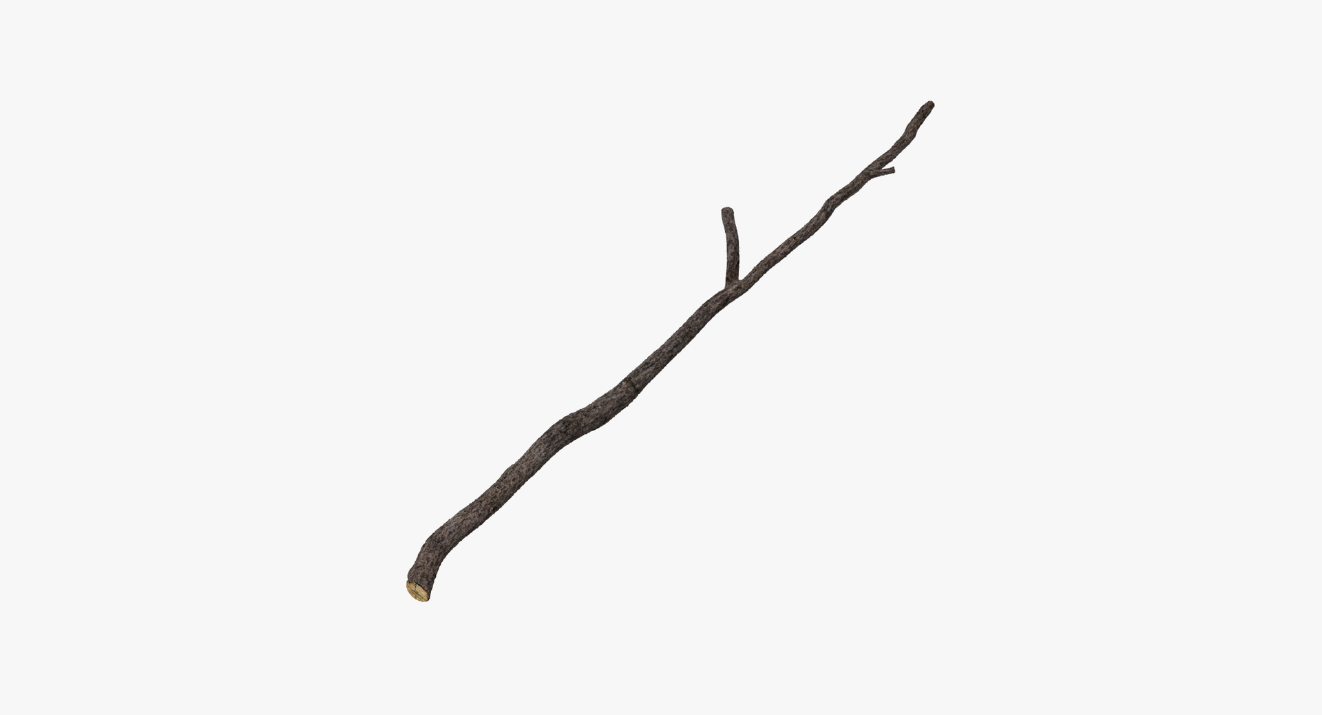 twigs sticks stumps log max https://p.turbosquid.com/ts-thumb/Mb/FjgC1G/gv15ZC9a/0000/jpg/1468325076/1920x1080/turn_fit_q99/3473db15f02c2c779c098cae6a9ec24dde2927b5/0000-1.jpg
