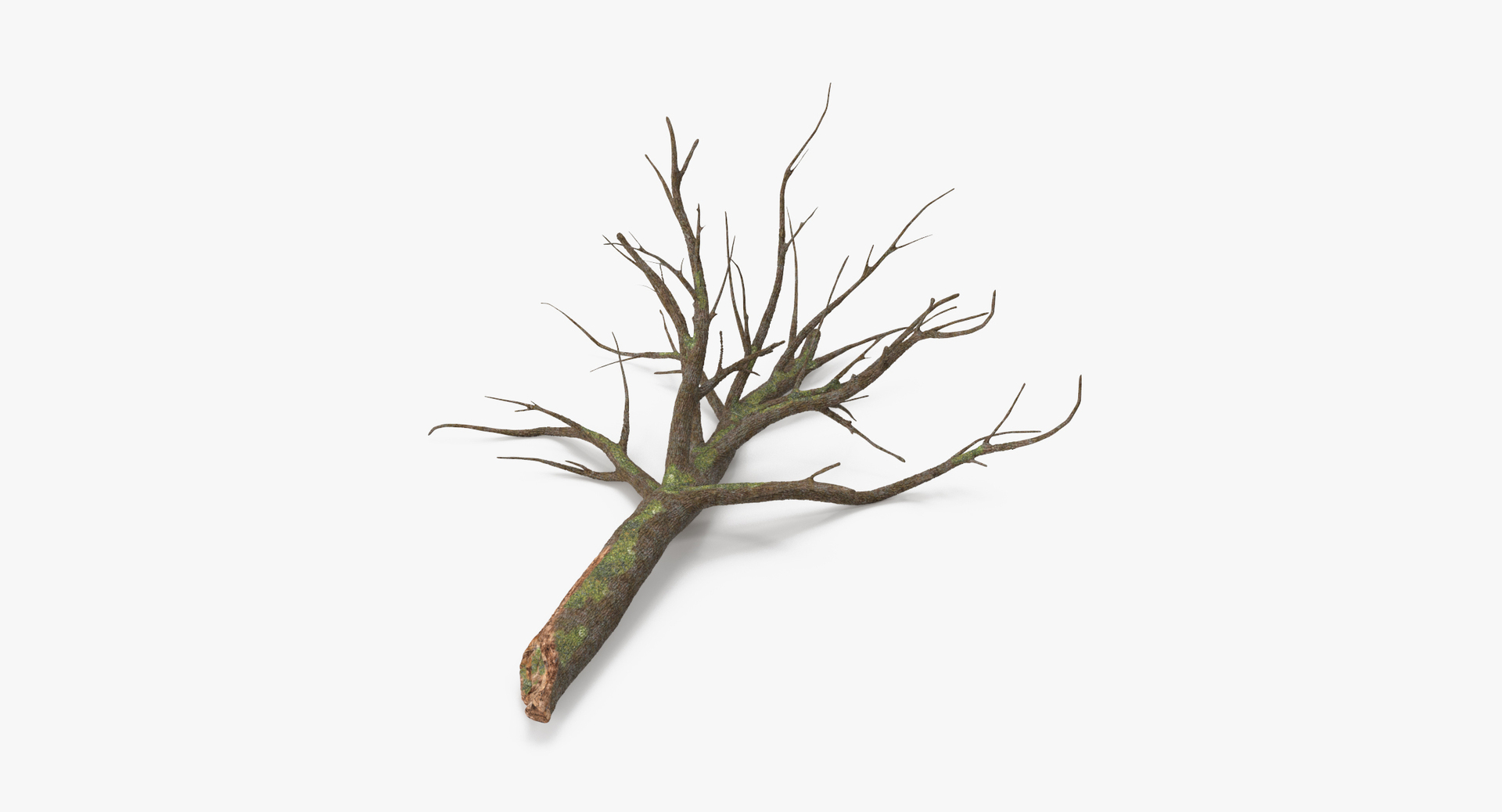 twigs sticks stumps log max https://p.turbosquid.com/ts-thumb/Mb/FjgC1G/iYfz2dpw/0000/jpg/1468329053/1920x1080/turn_fit_q99/dfa66dfd2ca50735abd5456f19c2dd9d78bc7854/0000-1.jpg