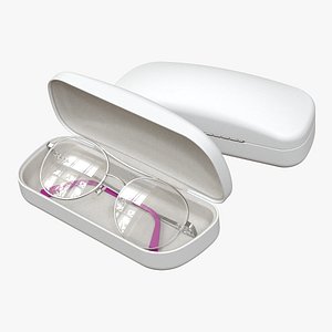 Glasses 01 with a Case