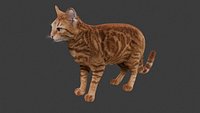 Realistic Orange Ginger Tabby Cat