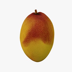 3D model Mango - Extreme Definition 3D Scanned