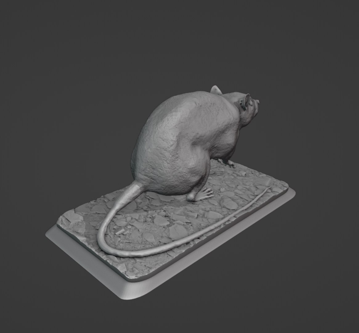 Rat 3D https://p.turbosquid.com/ts-thumb/Mb/cjVQWI/5K/8/jpg/1698863070/1920x1080/fit_q87/4d66fdf30e5fcee731cbd1d25a40a2cada522677/8.jpg