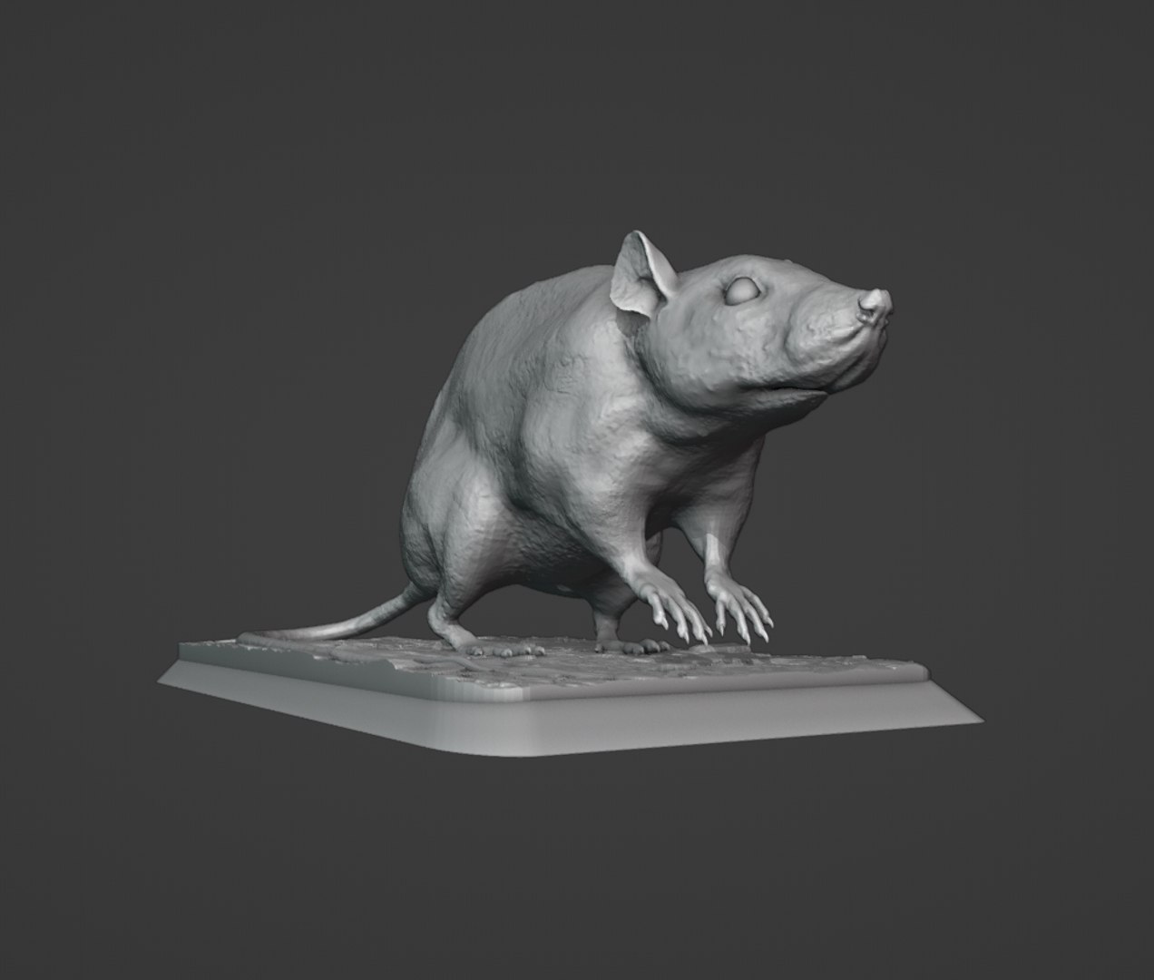 Rat 3D https://p.turbosquid.com/ts-thumb/Mb/cjVQWI/EO/9/jpg/1698863071/1920x1080/fit_q87/acdb2dc27f83a564b8ab51f22faee9f9fb432d43/9.jpg