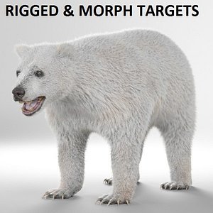 Polar bear - RIGGED and ANIMATED