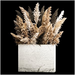 Deorative Bouquet In A Concrete Vase Of Dry Reeds 3D