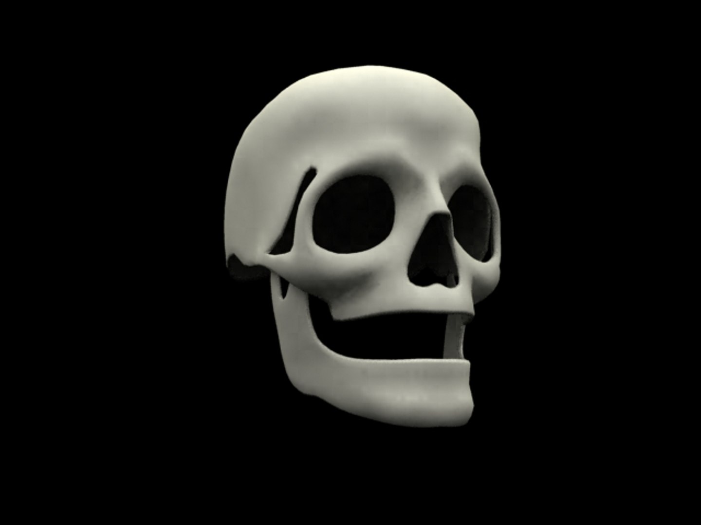 3d model skull