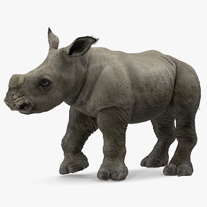 3D rhino baby standing pose