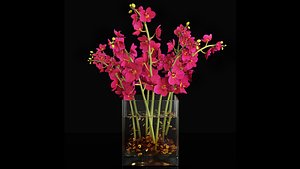 Plant 37 3D