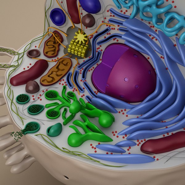 cell animal 3d model