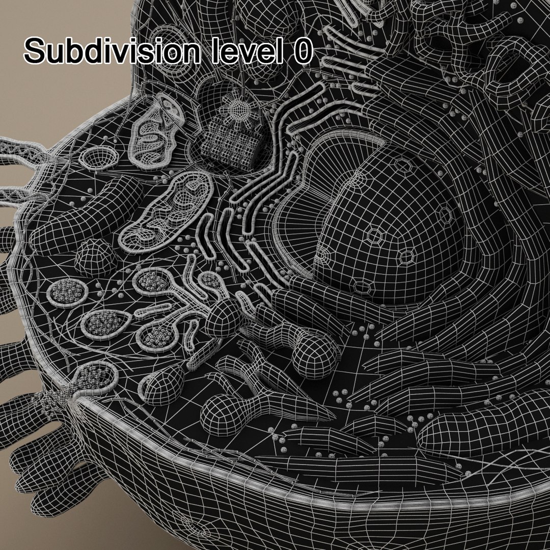 cell animal 3d model https://p.turbosquid.com/ts-thumb/Mc/gZp2YR/zDdL5oPH/ac_g_40000/jpg/1418891859/1920x1080/fit_q87/204595ecd410b4ee09b77ea1f3eff5bb42d2ba84/ac_g_40000.jpg