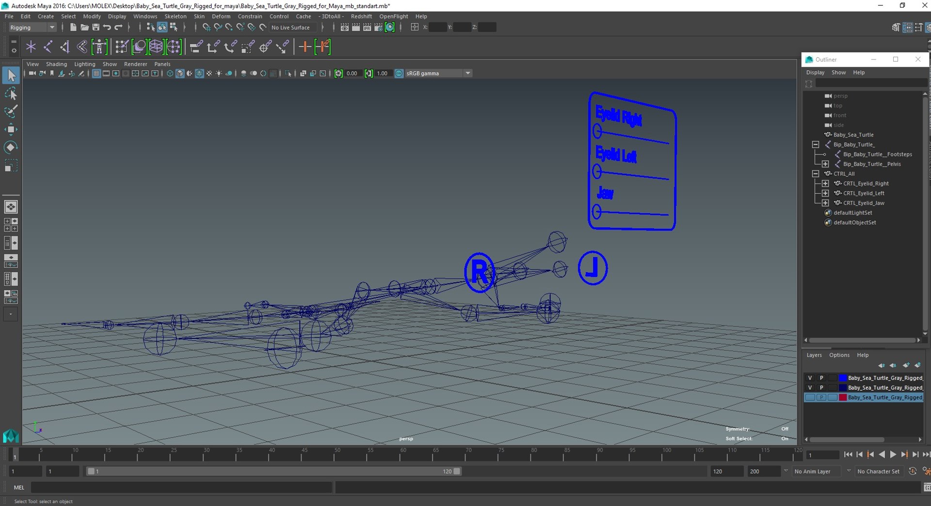Baby Sea Turtle Gray Rigged For Maya 3D Model - TurboSquid 2205420