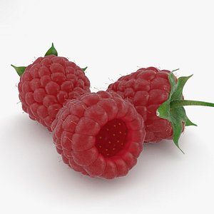 raspberry berry 3D