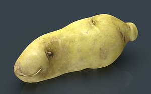 3D model red potatoe 2