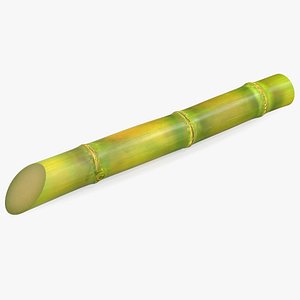 3D Sugar Cane Stick