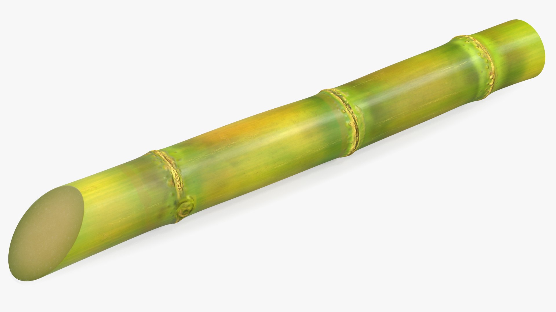Sugar Cane Stick 3D model preview