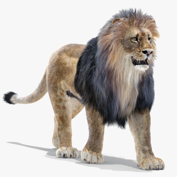 lion fur rigging animation 3d 3ds