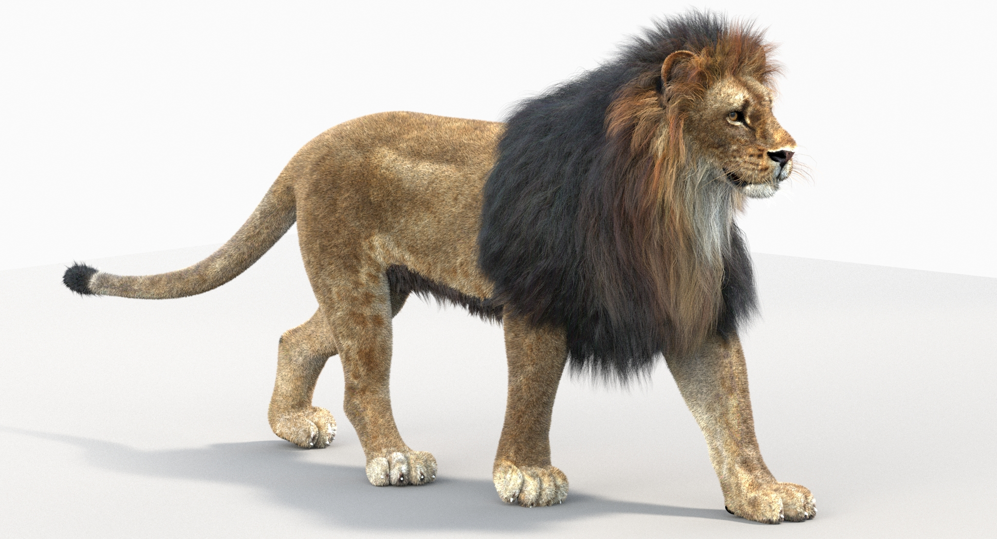 lion fur rigging animation 3d 3ds