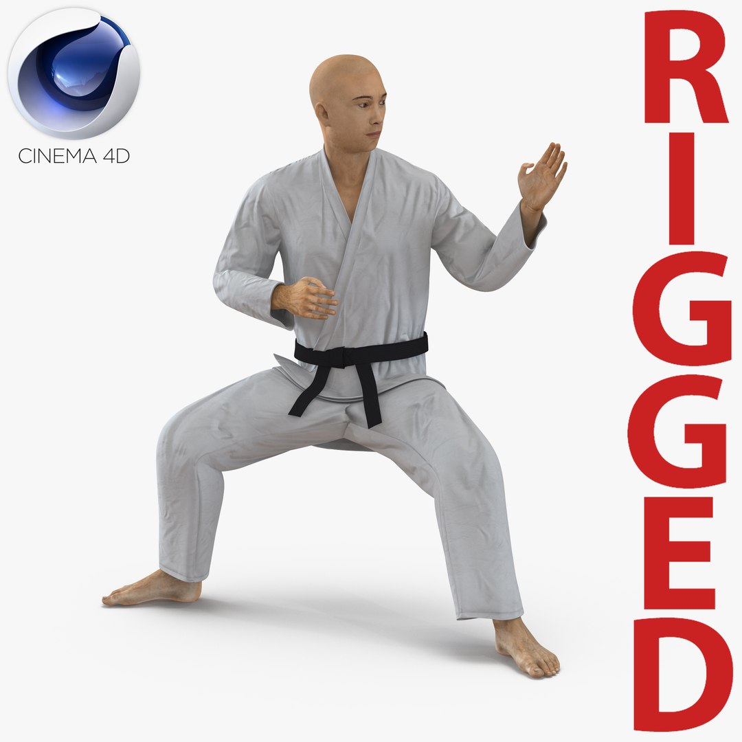Japanese Karate Fighter Rigged for Cinema 4D 3D model preview