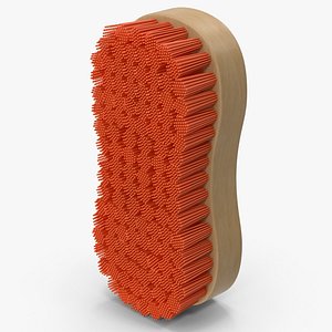 Orange Brush Scrub