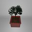 Planter
