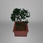 Planter