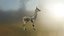 3D model wild animals