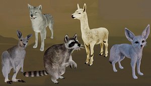 3D model wild animals