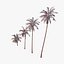 3d model coconut palm trees