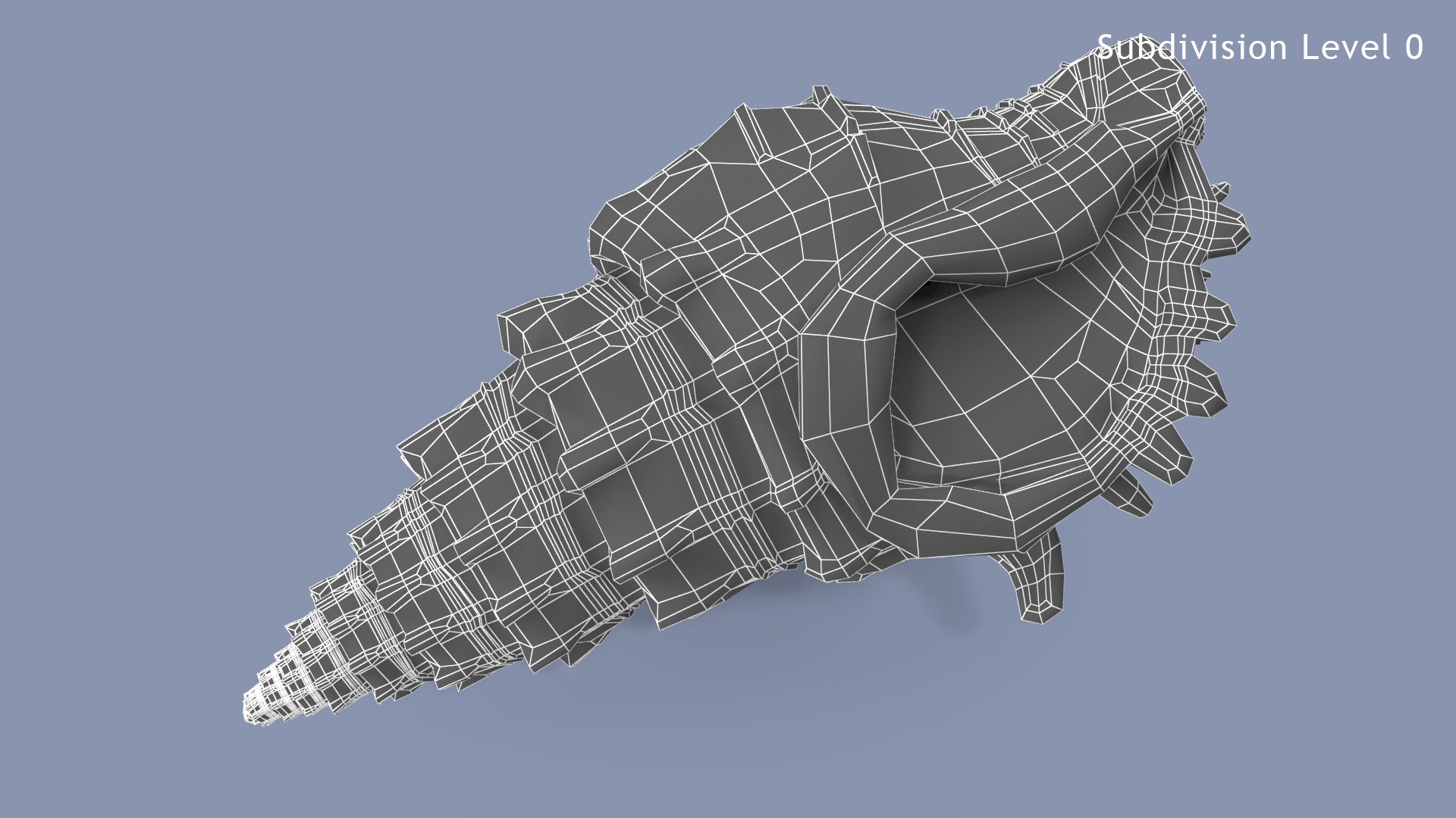 Sea Shell 01 01 Model - TurboSquid 1736204