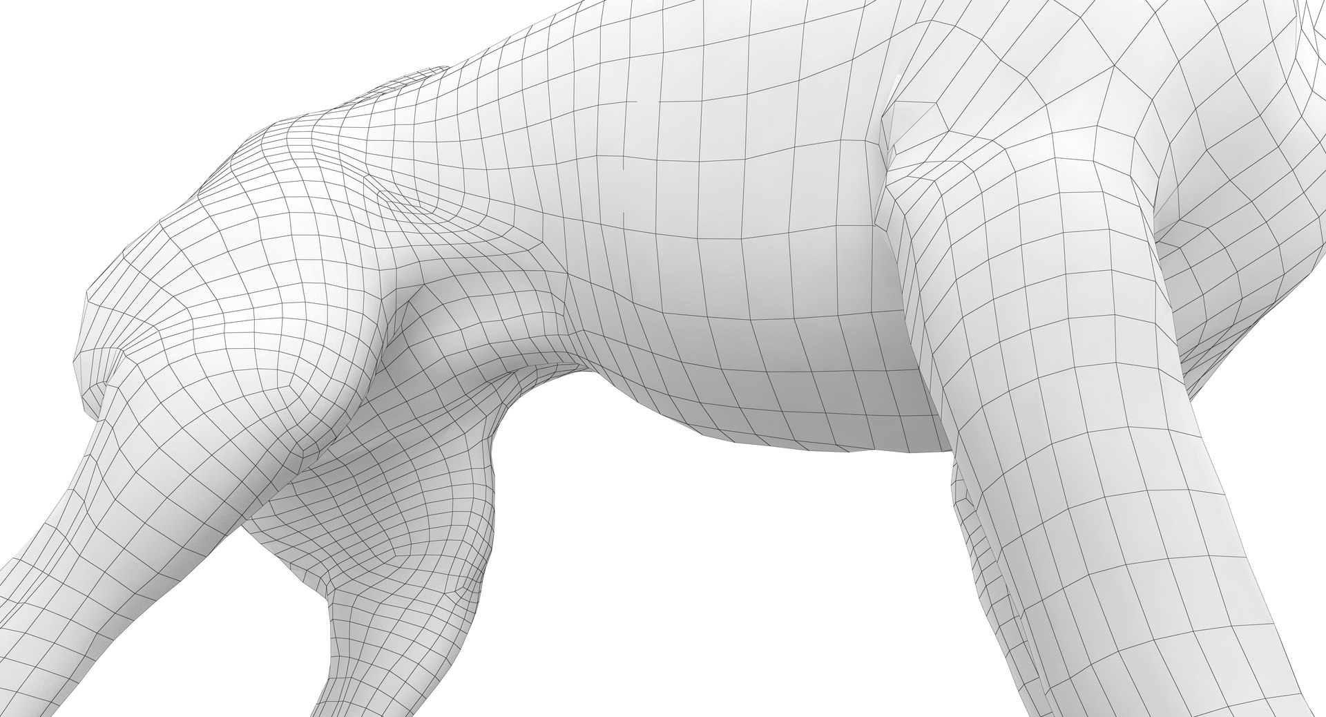 chihuahua people 2017 3D model https://p.turbosquid.com/ts-thumb/Md/zCincO/CvDcQ8Y1/150011/png/1514802608/1920x1080/fit_q87/3ef844078243ba51413f0eaa29965f0408874801/150011.jpg