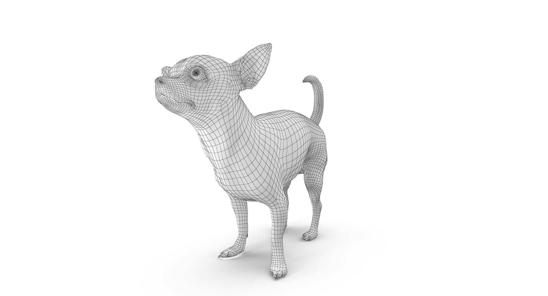 chihuahua people 2017 3D model https://p.turbosquid.com/ts-thumb/Md/zCincO/DKWfsJXL/000/png/1514802613/1920x1080/turn_fit_q99/0ceb5d50cb58cb97d94301298d6ed85eb63a4f0b/000-1.jpg