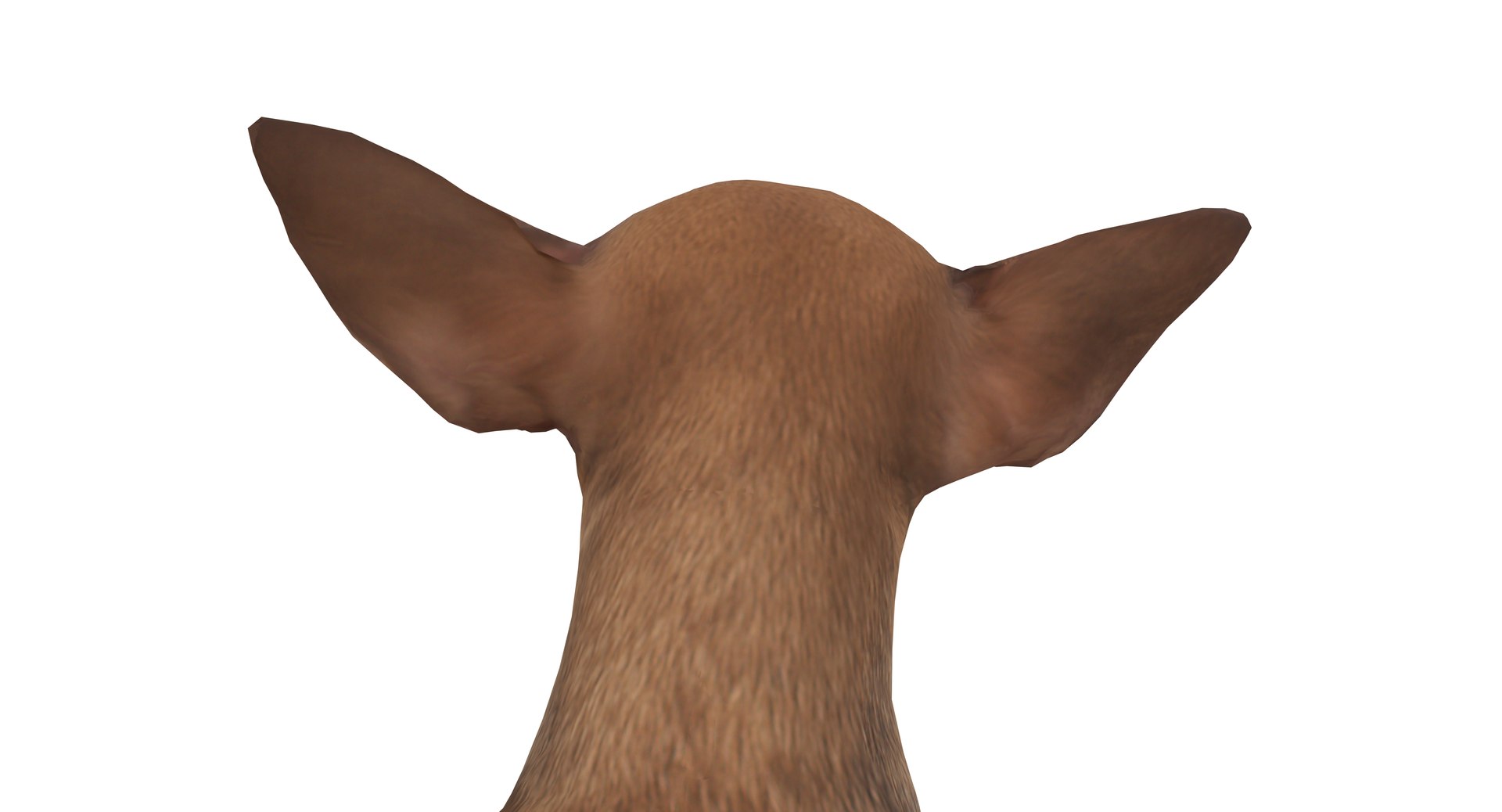 chihuahua people 2017 3D model https://p.turbosquid.com/ts-thumb/Md/zCincO/Du5vHK4y/40006/png/1514802607/1920x1080/fit_q87/30722e1b9c6a2ddf54c07b0b63ab3ef199e96f81/40006.jpg