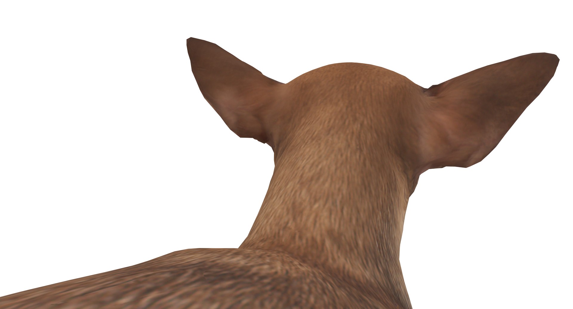 chihuahua people 2017 3D model https://p.turbosquid.com/ts-thumb/Md/zCincO/E33AQrhK/40014/png/1514802608/1920x1080/fit_q87/acecdbce328129e8bec27b85dc0f0b6927082e40/40014.jpg