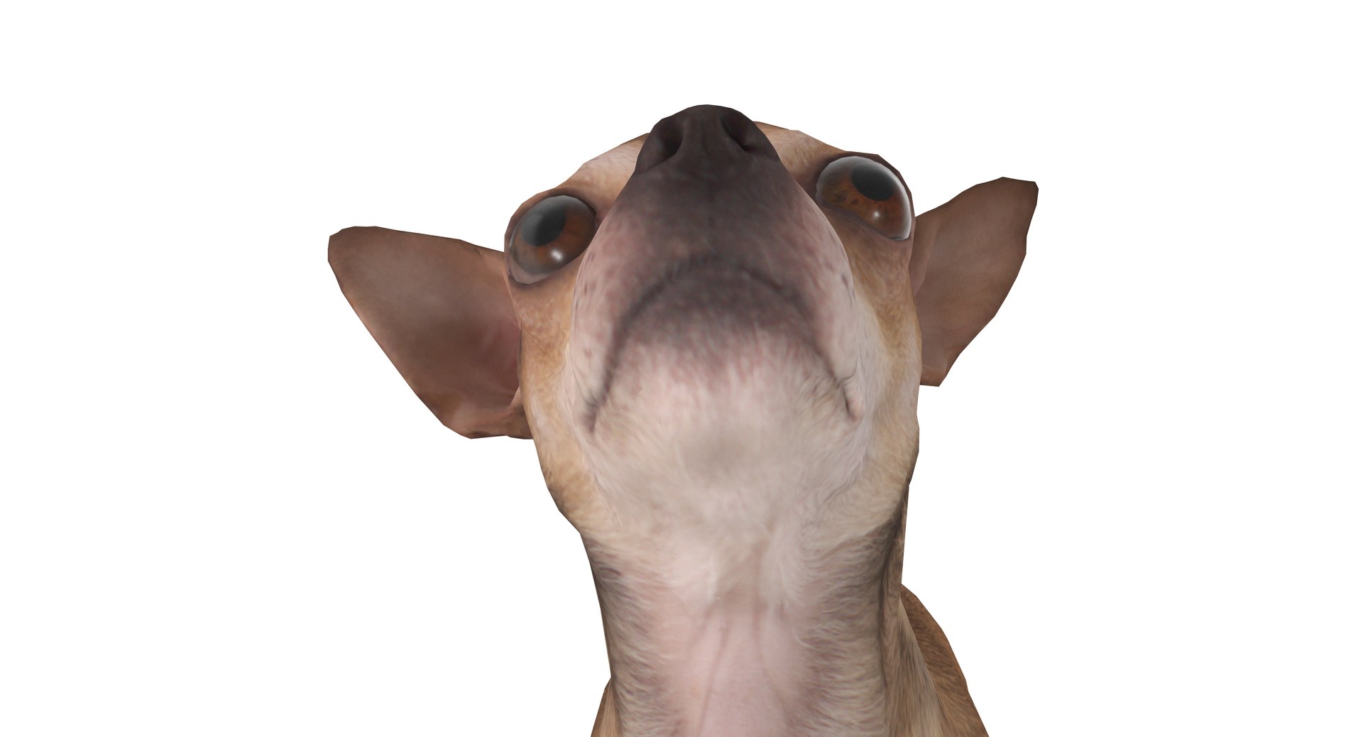 chihuahua people 2017 3D model https://p.turbosquid.com/ts-thumb/Md/zCincO/JF5flA5O/40005/png/1514802607/1920x1080/fit_q87/7674c8d57b11f770e43e3dc65824726962b9b367/40005.jpg