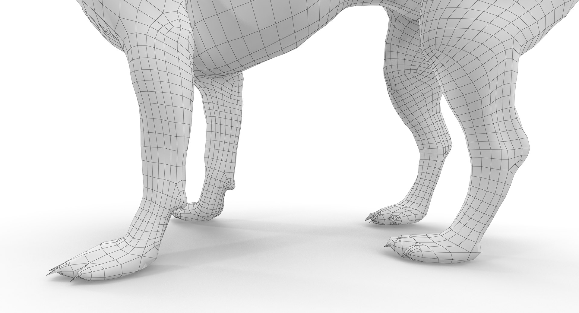 chihuahua people 2017 3D model https://p.turbosquid.com/ts-thumb/Md/zCincO/LmcUfIbu/150002/png/1514802608/1920x1080/fit_q87/1e688e58f0297d2caa16cd7c6c39de910a29600d/150002.jpg