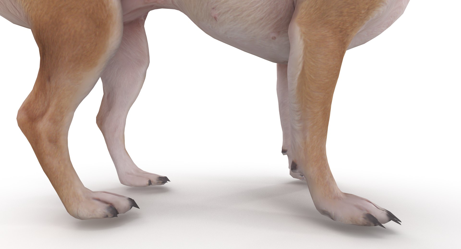 chihuahua people 2017 3D model https://p.turbosquid.com/ts-thumb/Md/zCincO/WegpCTHl/40008/png/1514802607/1920x1080/fit_q87/34956827a193243f0e5f89a7ac3729594b9f1b98/40008.jpg