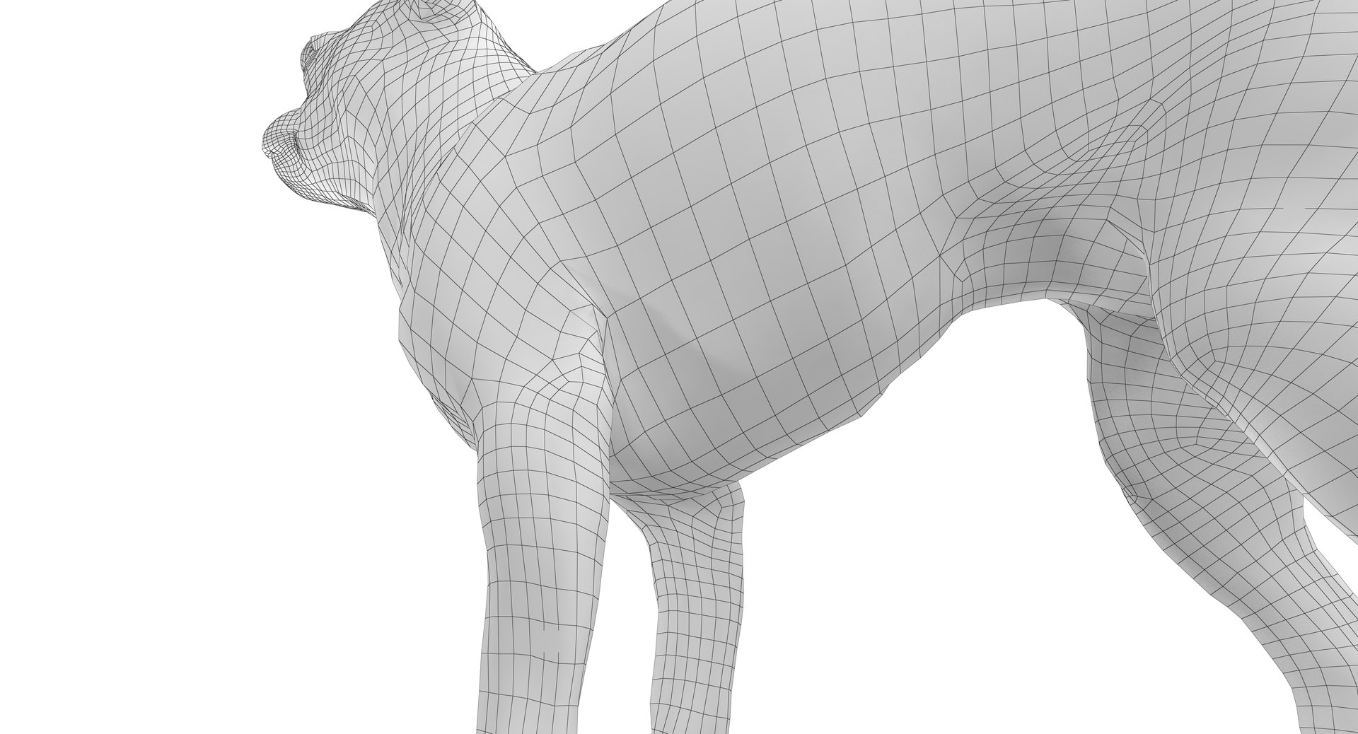 chihuahua people 2017 3D model https://p.turbosquid.com/ts-thumb/Md/zCincO/kwXMTgtN/150012/png/1514802608/1920x1080/fit_q87/d99963290295d41c36ce5b4ed6e2aecb08e371c1/150012.jpg