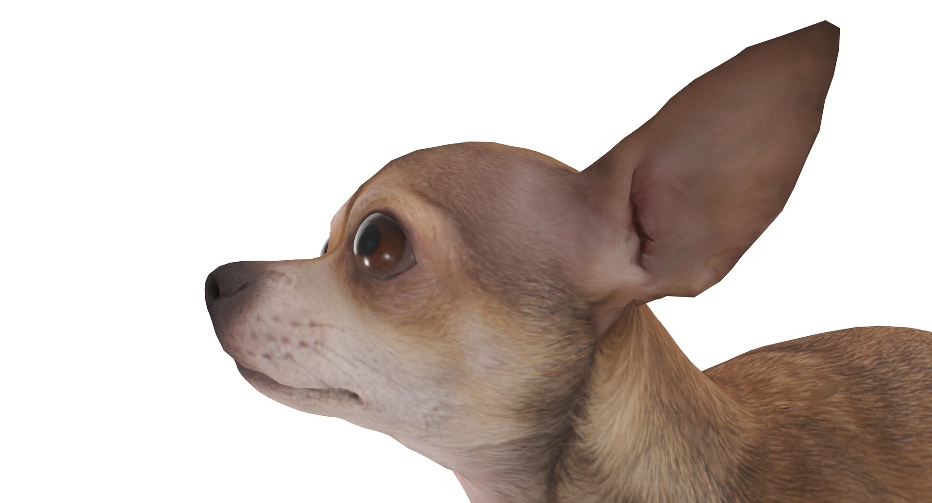chihuahua people 2017 3D model https://p.turbosquid.com/ts-thumb/Md/zCincO/rfuysEyM/40000/png/1514802607/1920x1080/fit_q87/a74142602167c0279ab143bf33c4f126942f3c14/40000.jpg