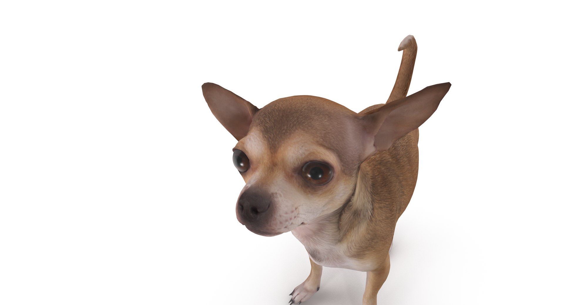 chihuahua people 2017 3D model https://p.turbosquid.com/ts-thumb/Md/zCincO/wWC7WxNh/40013/png/1514802608/1920x1080/fit_q87/563b957be596eccc0b82709bf12a5d87aa0dc376/40013.jpg