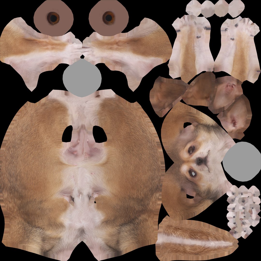 chihuahua people 2017 3D model https://p.turbosquid.com/ts-thumb/Md/zCincO/zldgOPie/animal_dog_rtsit_diffuse_1277/png/1514803301/1920x1080/fit_q87/45141a0de22fc0d1f7cfe705a0f7258dbf0005e9/animal_dog_rtsit_diffuse_1277.jpg