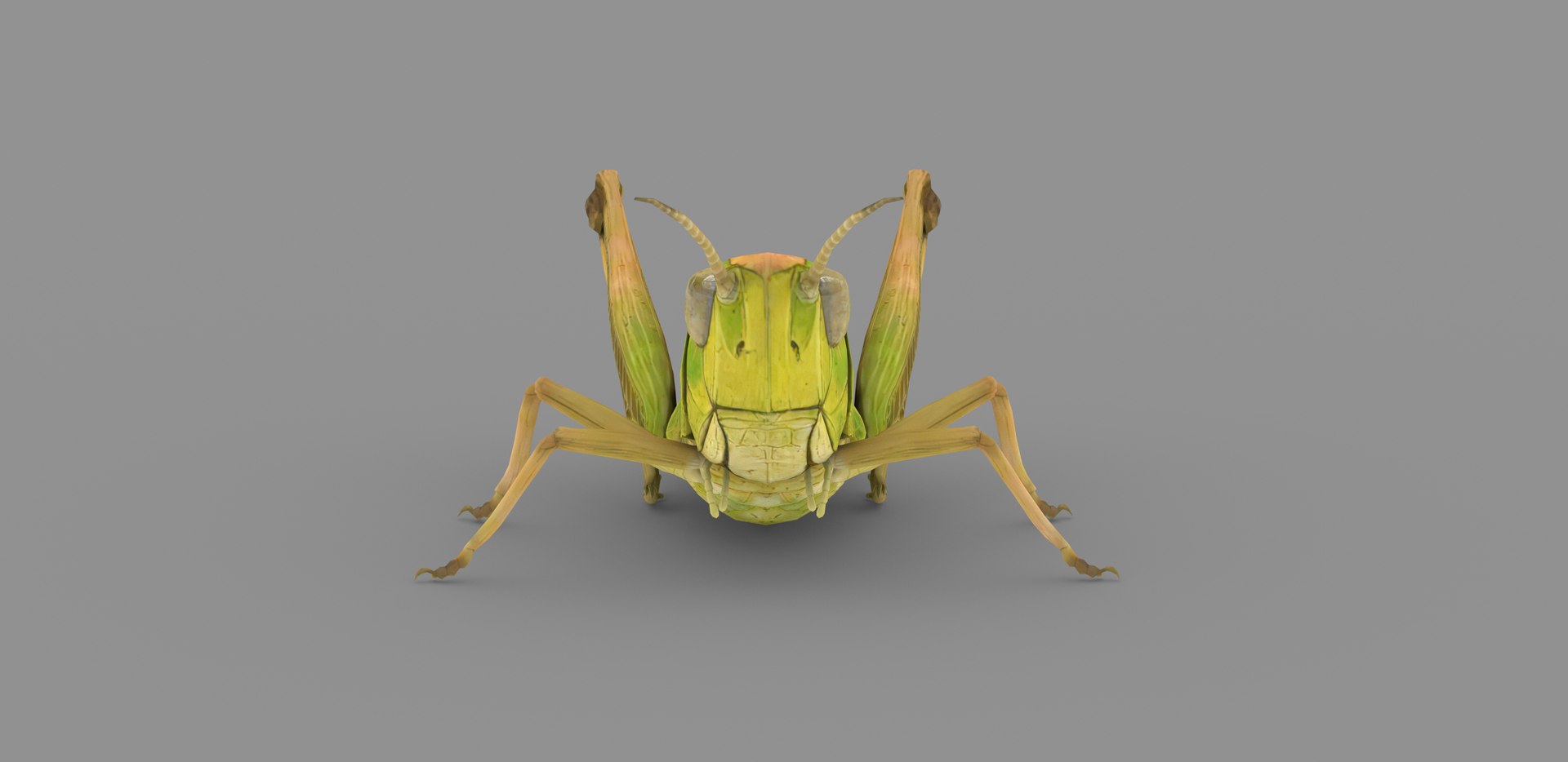 3D Grasshopper Model - TurboSquid 2078170