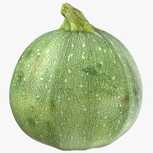 3D zucchini 01 model